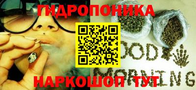 наркотики Новозыбков